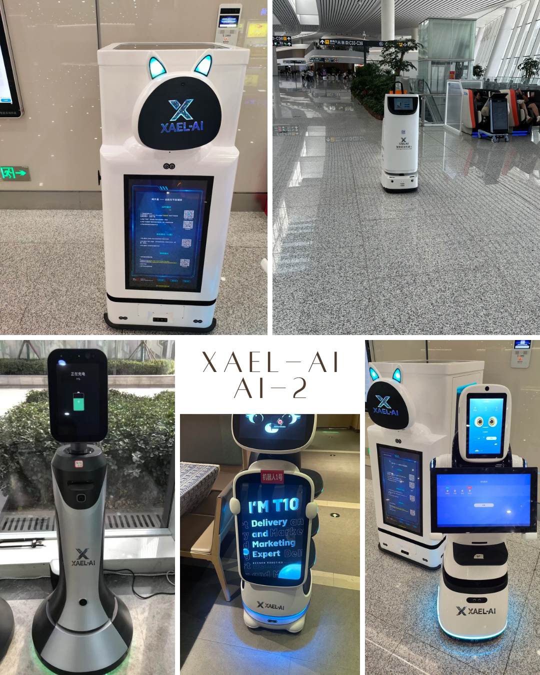 AI-2 Service Robot