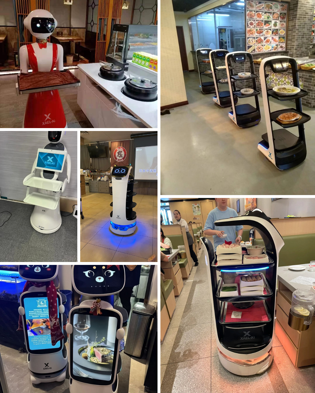 AI-3 Delivery Robot